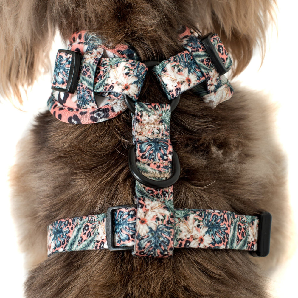 
                      
                        Palm Beach Adjustable Dog Harness - Pooch Luxury
                      
                    