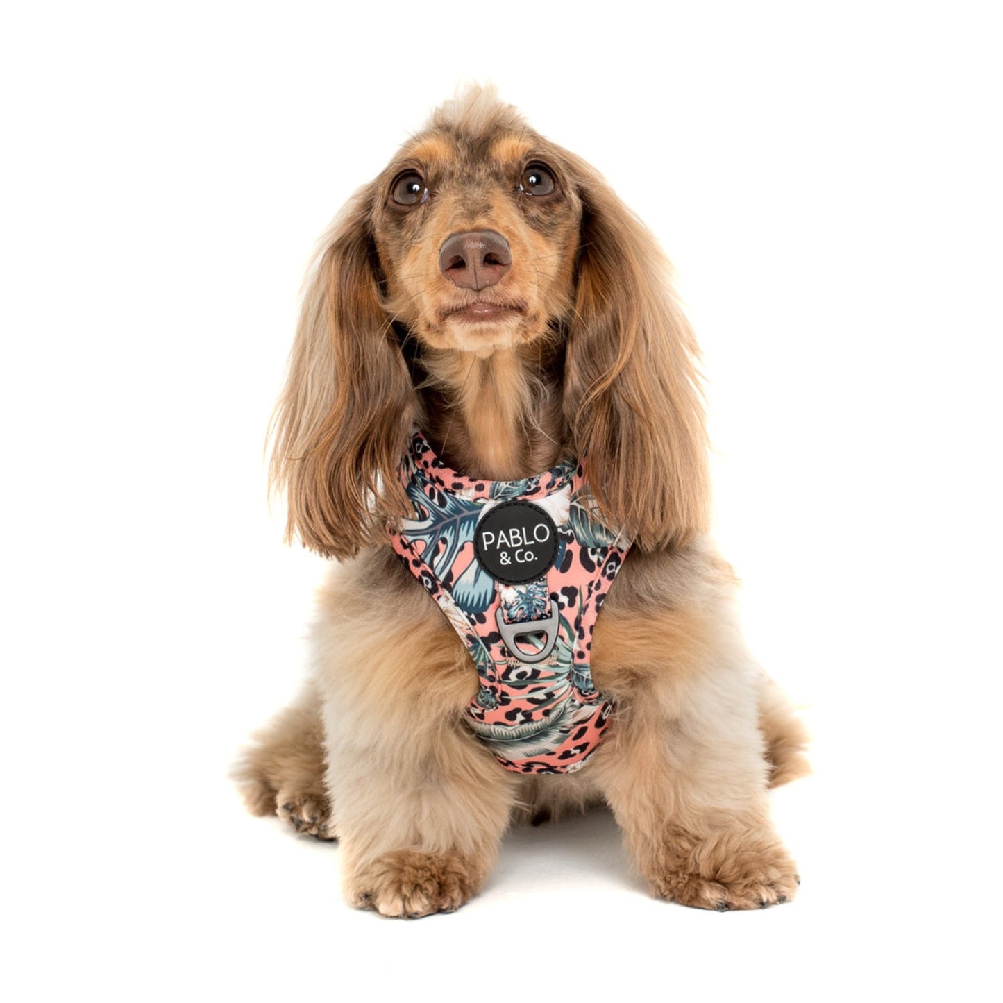 Palm Beach Adjustable Dog Harness - Pooch Luxury