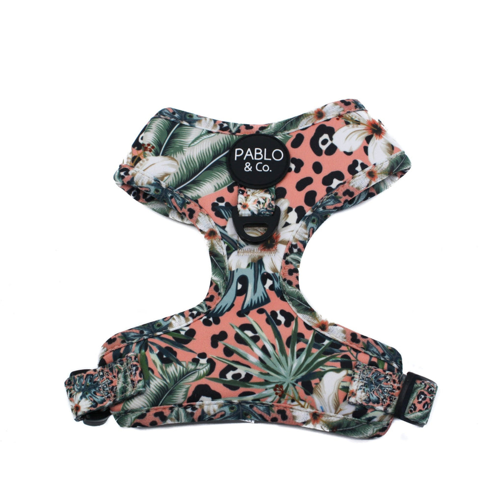 Palm Beach Adjustable Dog Harness - Pooch Luxury