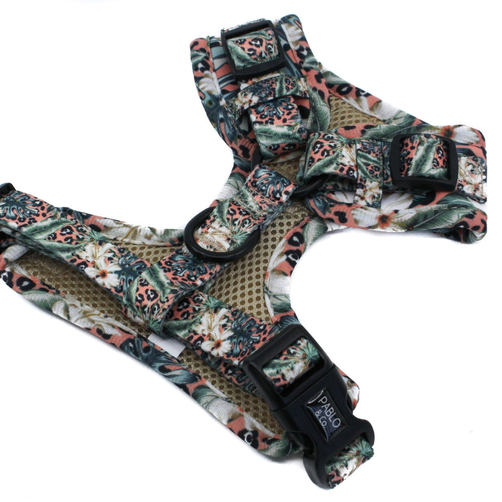 
                      
                        Palm Beach Adjustable Dog Harness - Pooch Luxury
                      
                    