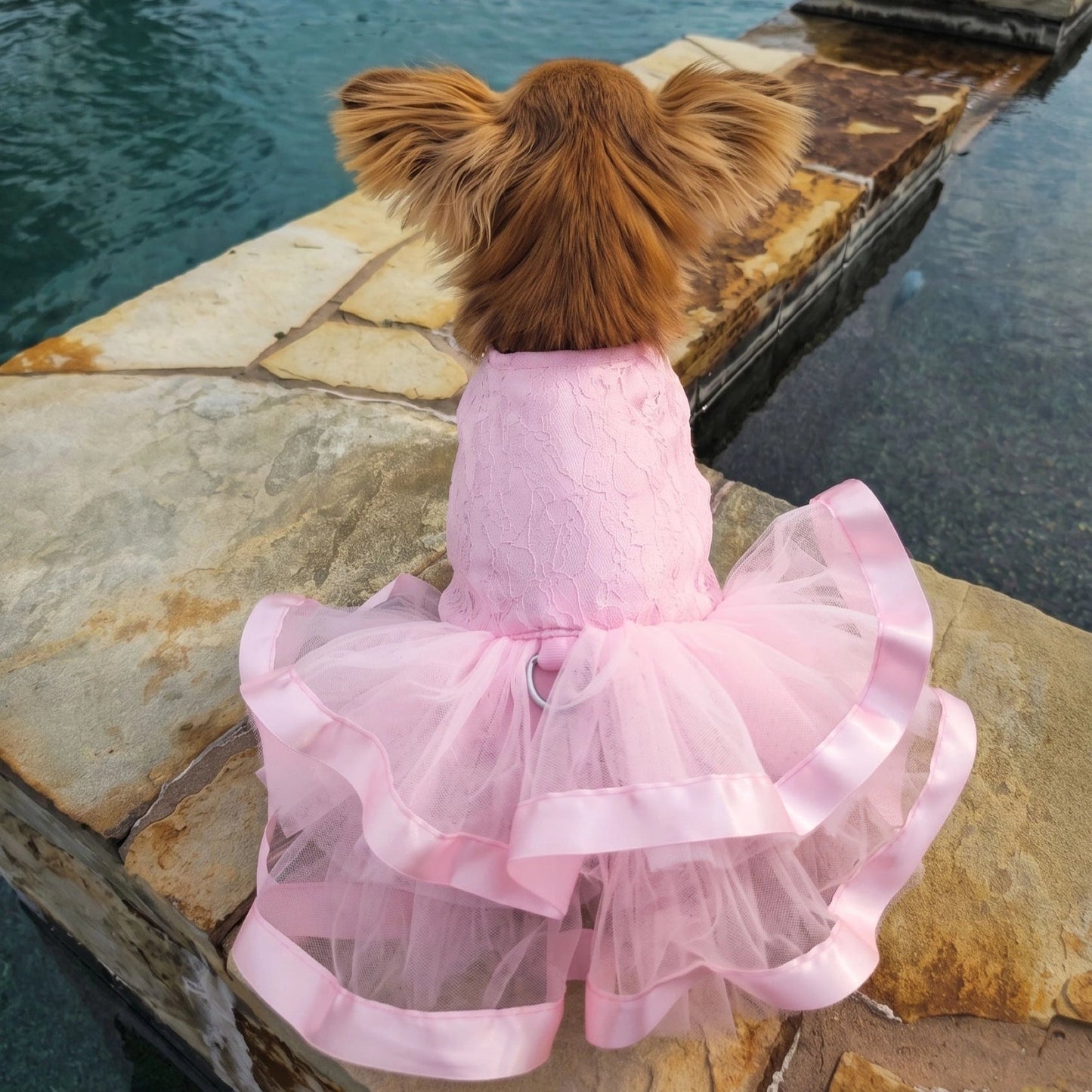 Pink Lace & Ruffles Dog Dress - Pooch Luxury