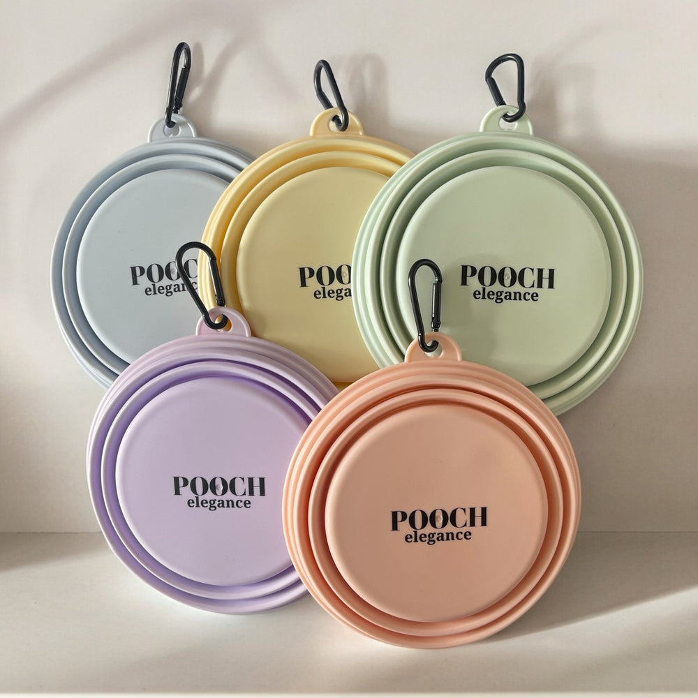 Portable Travel Dog Bowls - TPE - Pooch Luxury