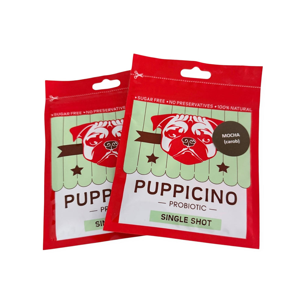 Puppicino - Mocha Cino - Pooch Luxury
