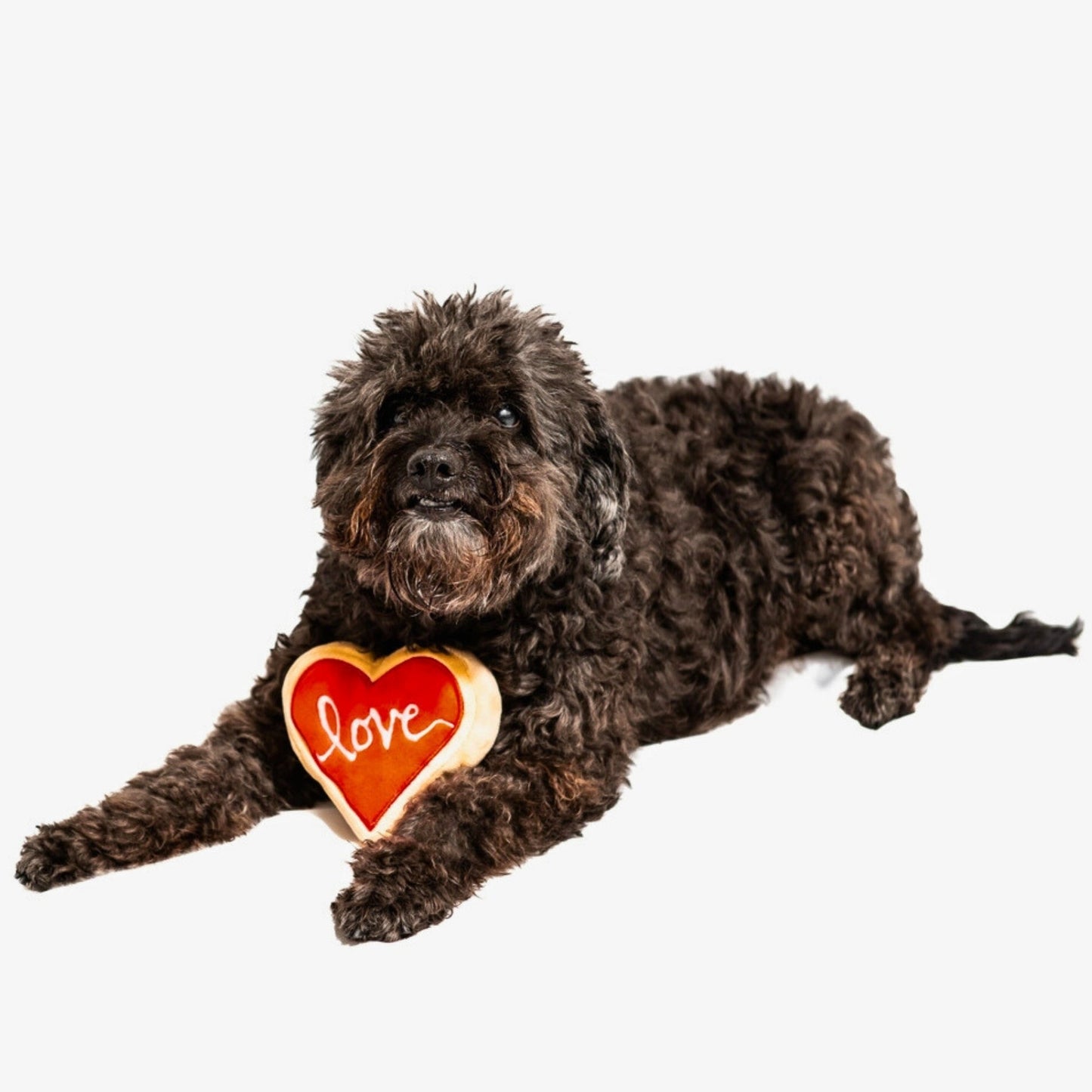 Red Heart Love Sugar Cookie Dog Toy - Pooch Luxury