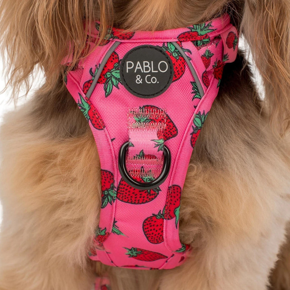 
                      
                        Strawberries No Pull Adventure Harness - Pooch Luxury
                      
                    