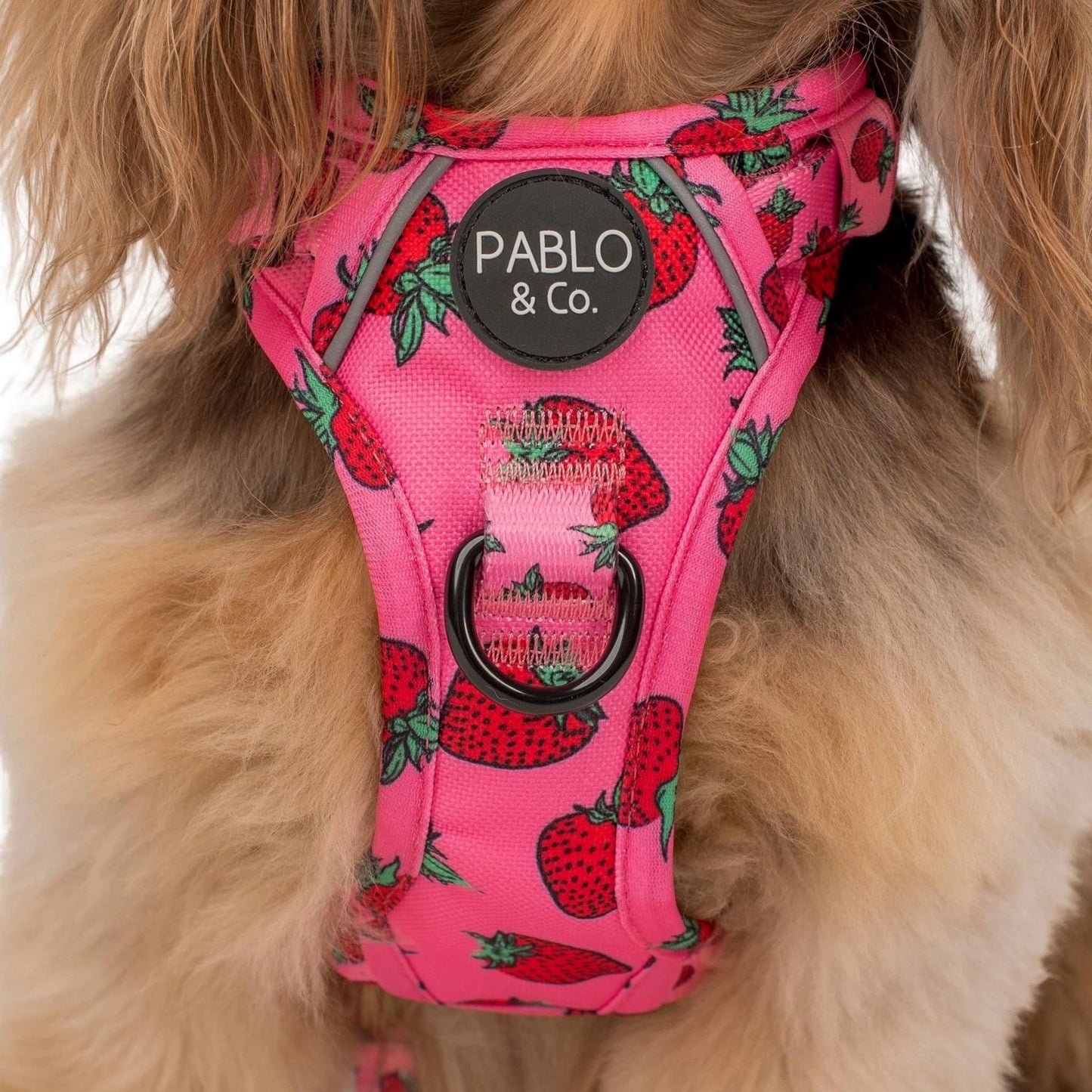 Strawberries No Pull Adventure Harness - Pooch Luxury