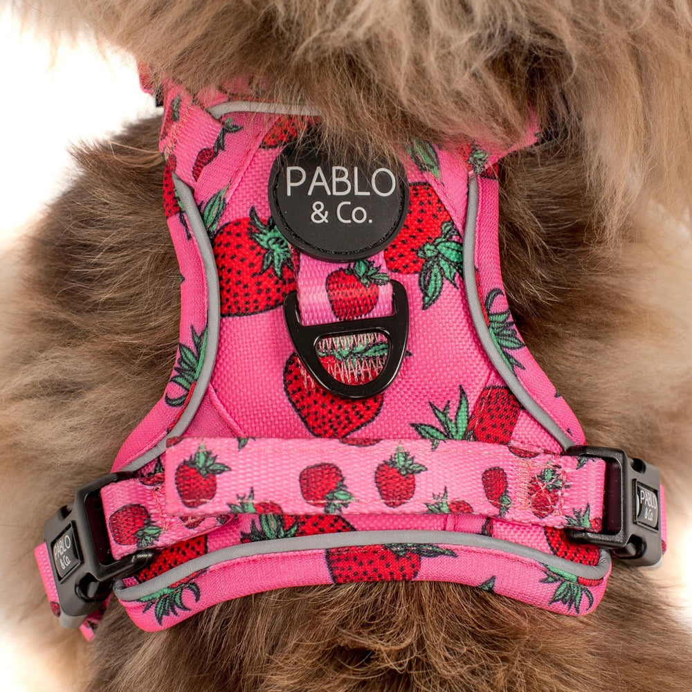 
                      
                        Strawberries No Pull Adventure Harness - Pooch Luxury
                      
                    