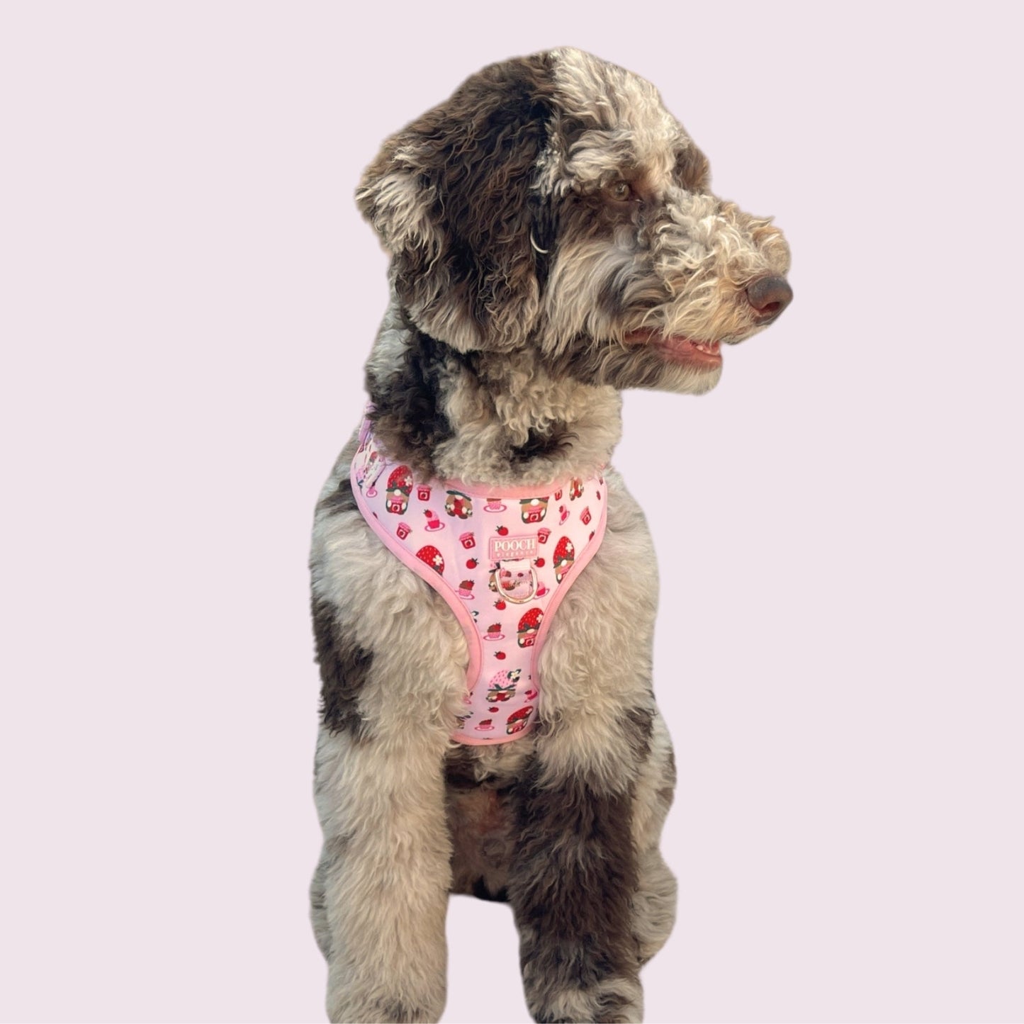 Sweetberry Picnic Adjustable Dog Harness - Pooch Luxury