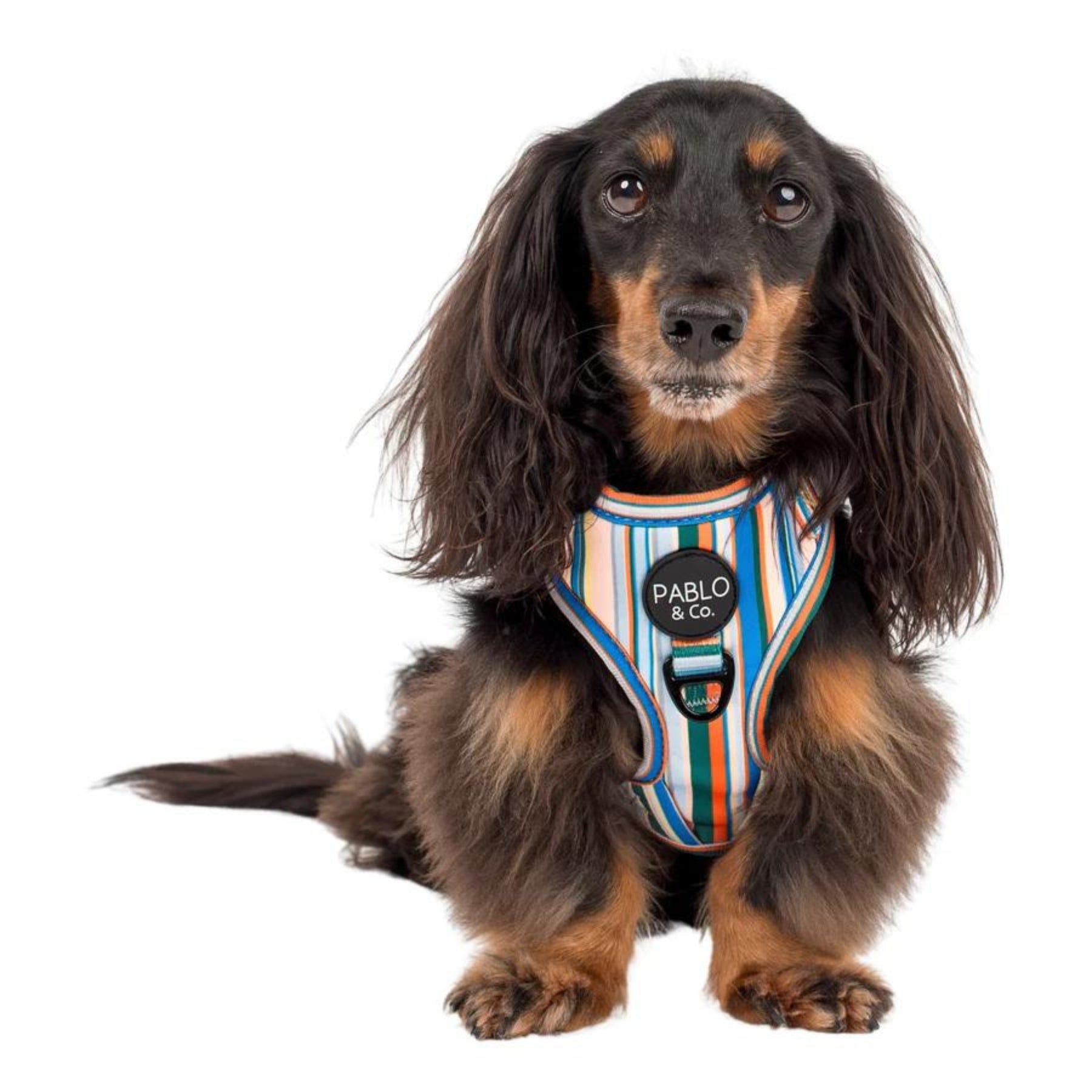 The Cabana Adjustable Dog Harness - Pooch Luxury