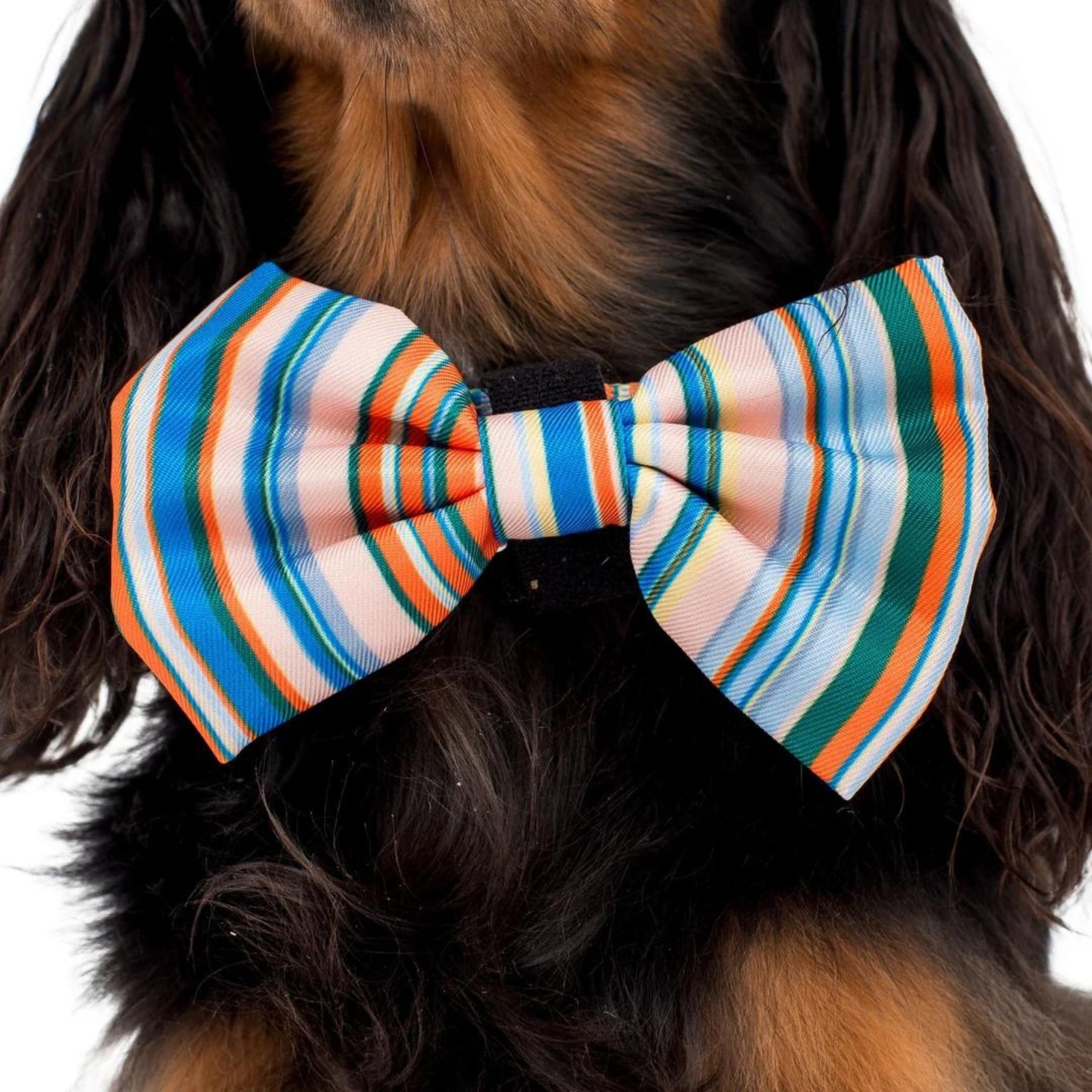 The Cabana Bow Tie - Pooch Luxury