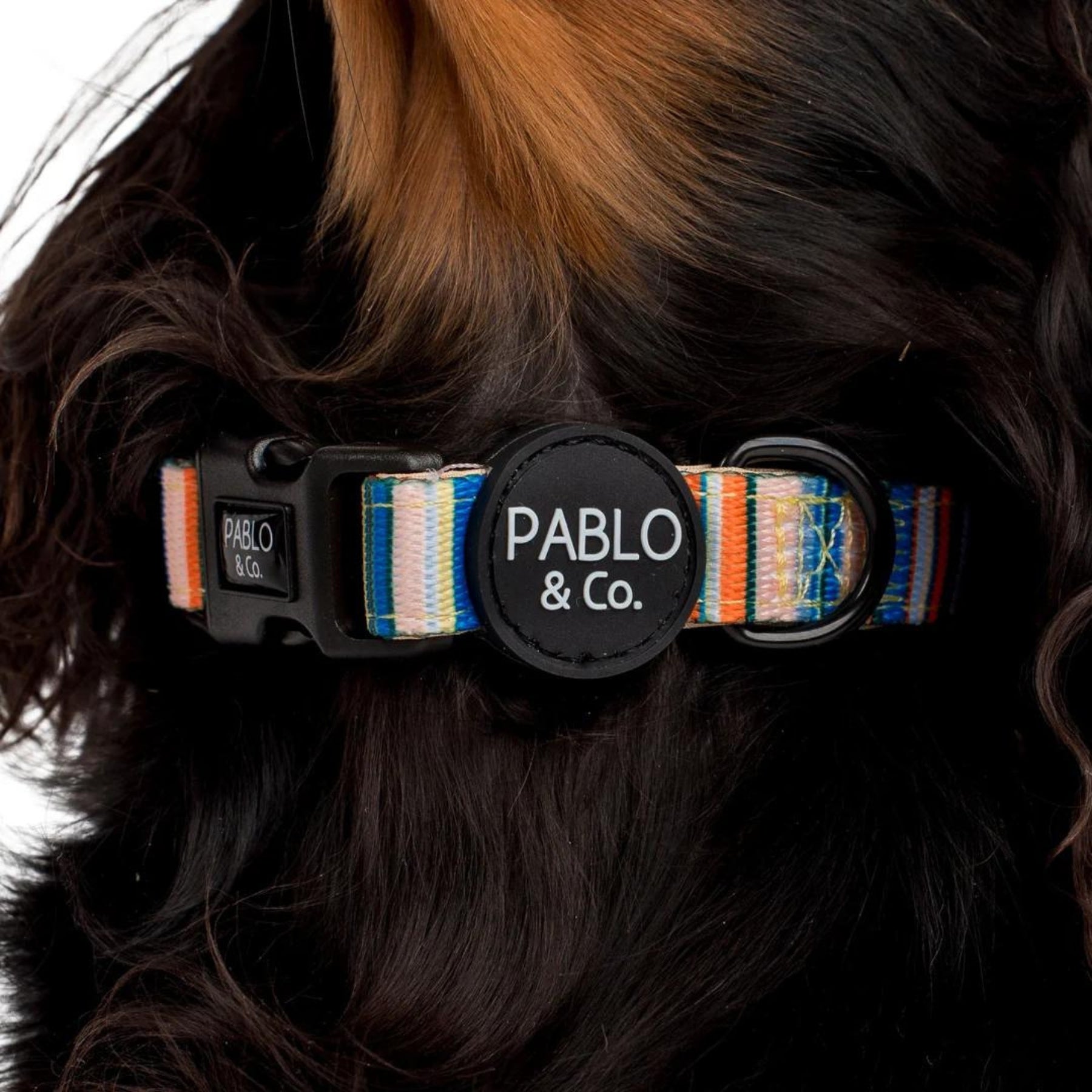 The Cabana Dog Collar - Pooch Luxury