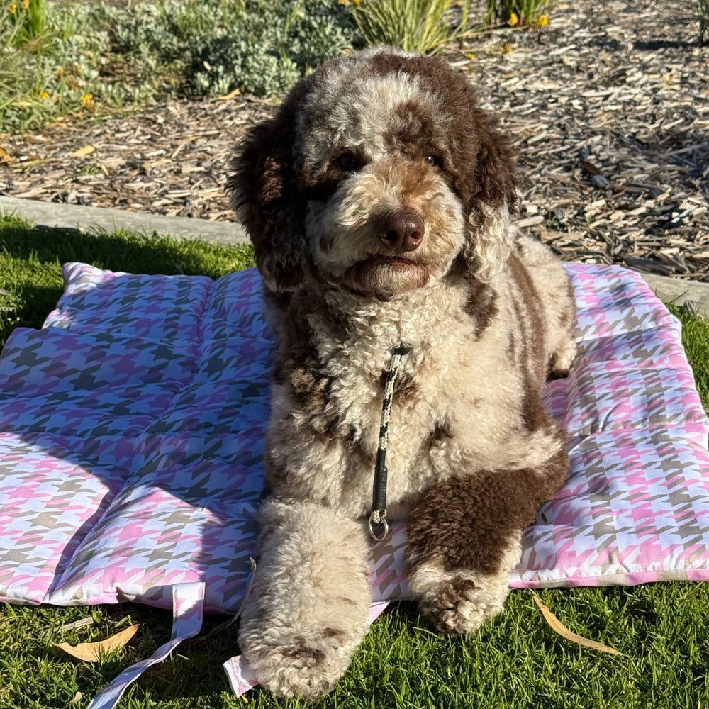 
                      
                        Travel Mat - Houndstooth Belle - Pooch Luxury
                      
                    