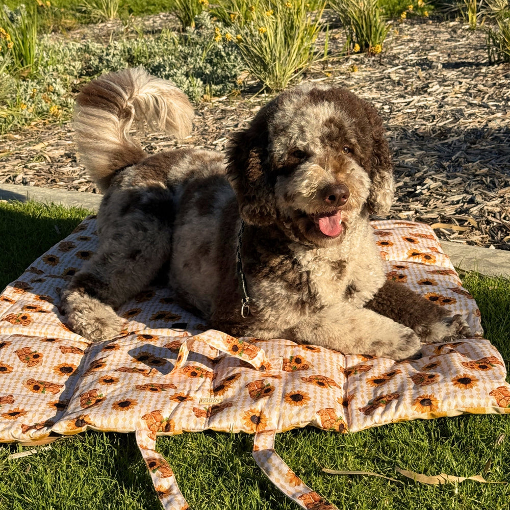 
                      
                        Travel Mat - Sunflower Bears - Pooch Luxury
                      
                    