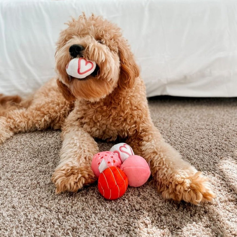 Valentine Plush Balls Dog Toy – Pooch Luxury - Main Image