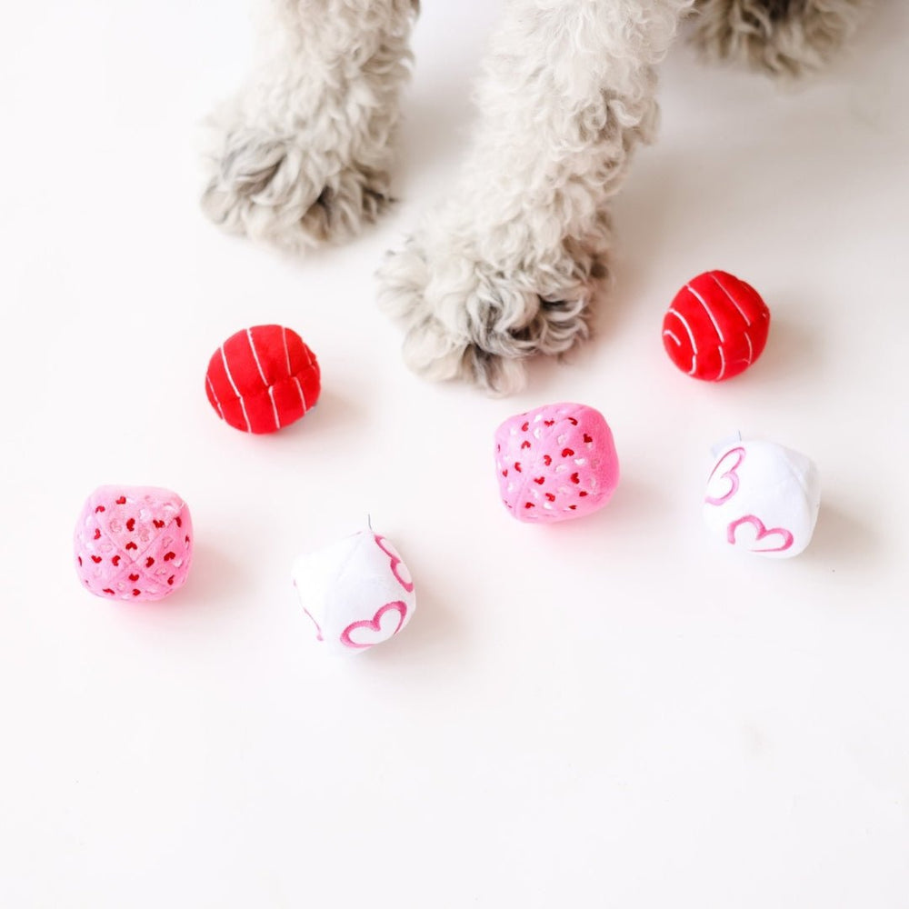 Valentine Plush Balls Dog Toy - Pooch Luxury