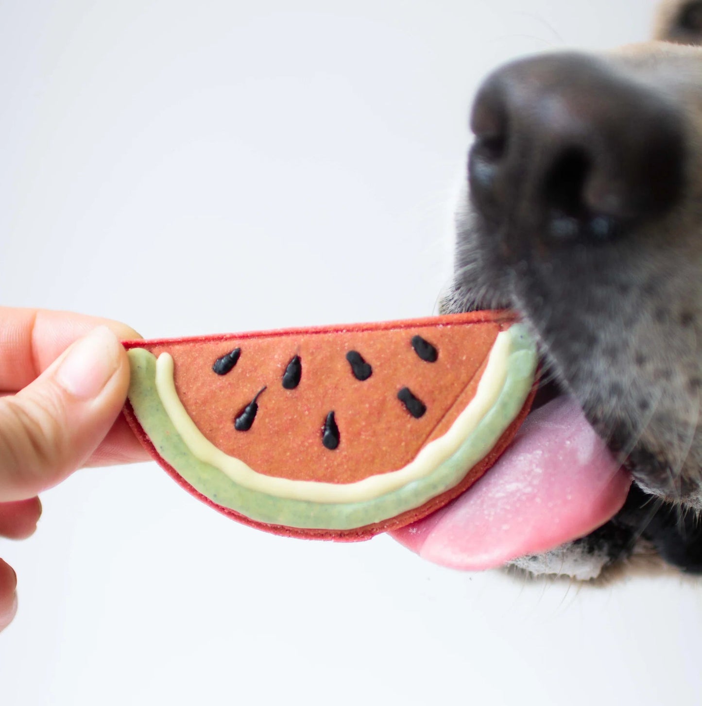 Watermelon Coomkie Dog Treat - Pooch Luxury