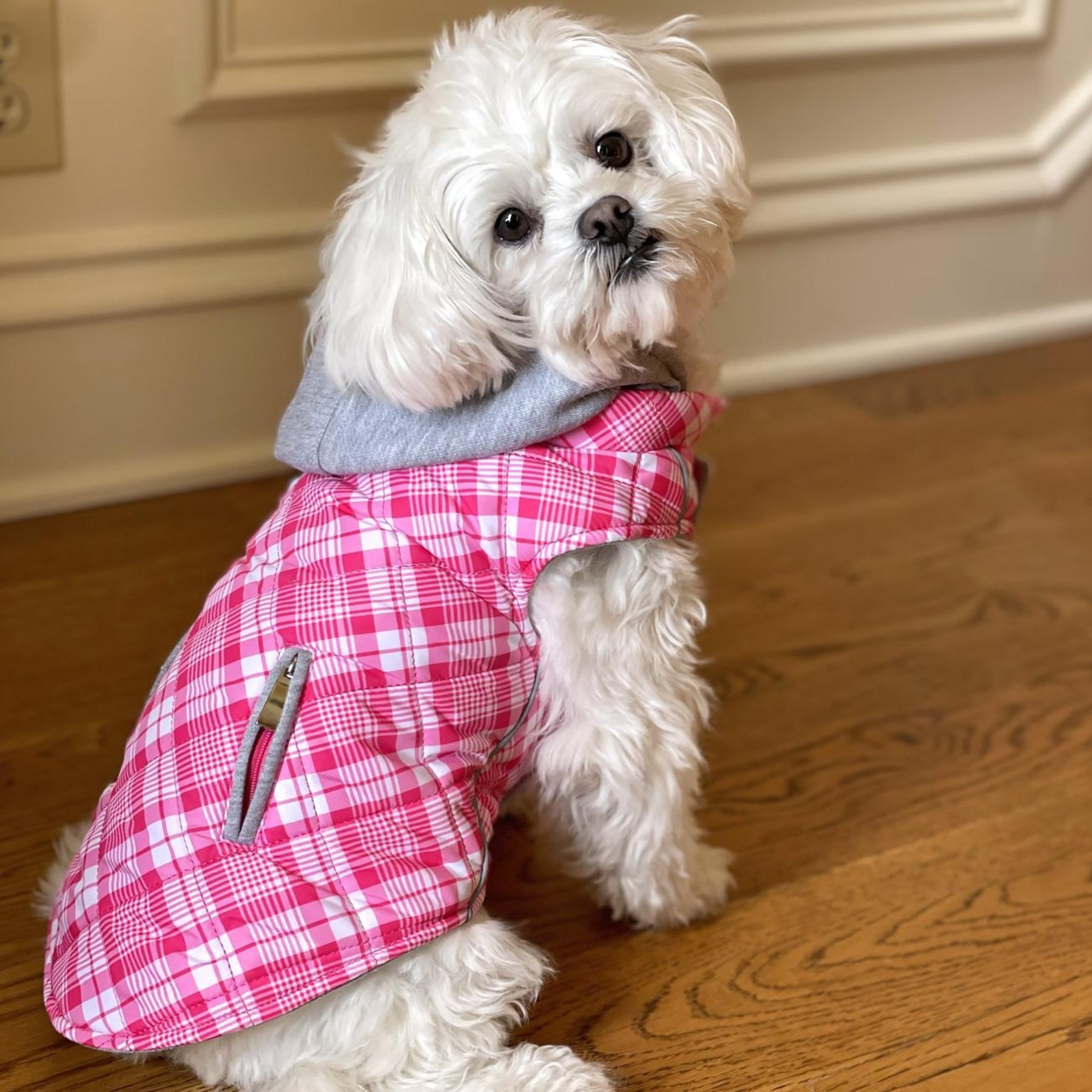 Weekender Dog Sweatshirt Hoodie - Pink & White Plaid - Pooch Luxury