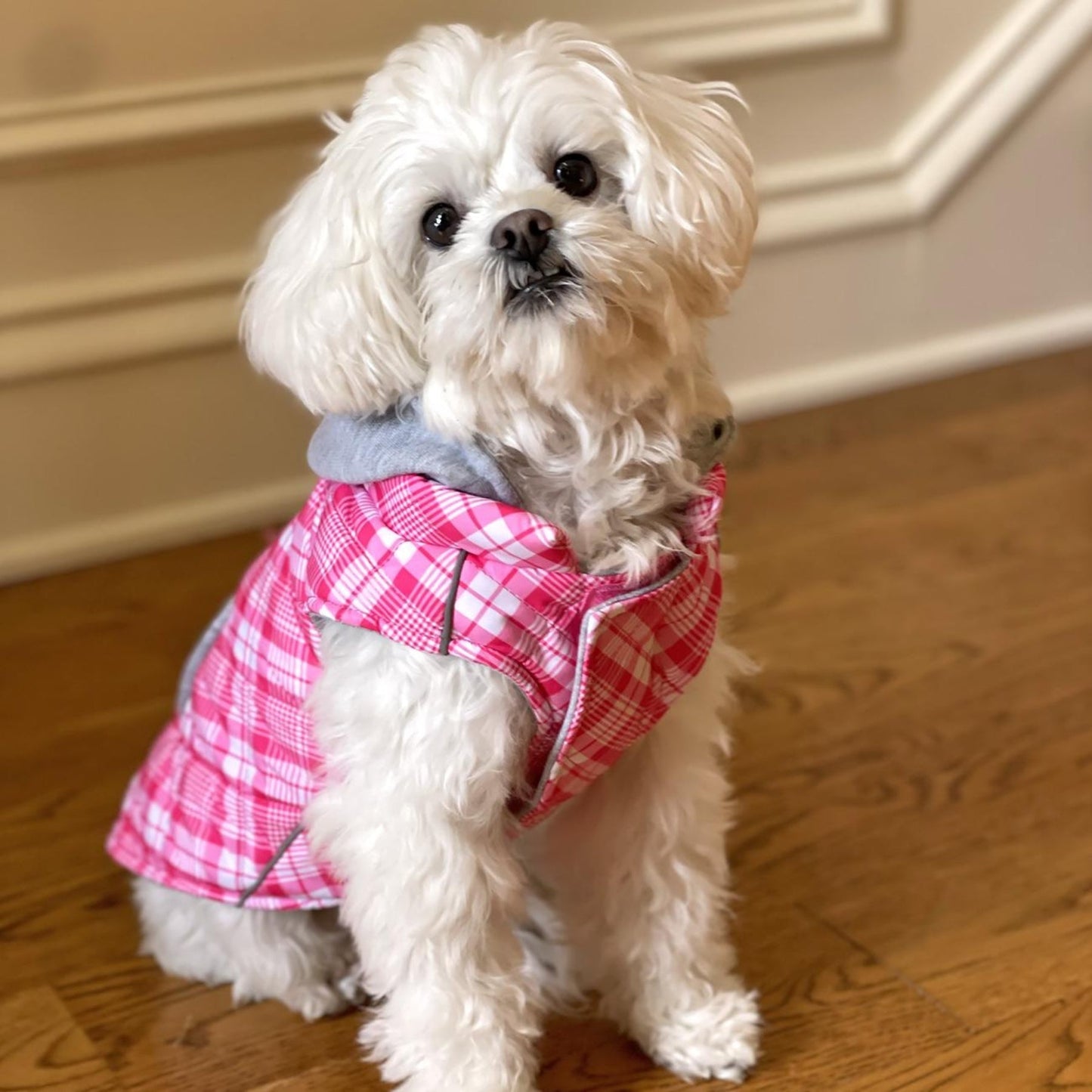 
                  
                    Weekender Dog Sweatshirt Hoodie - Pink & White Plaid - Pooch Luxury
                  
                