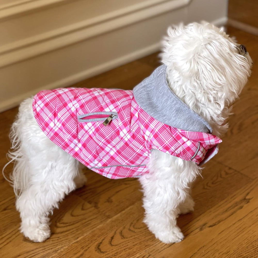 
                  
                    Weekender Dog Sweatshirt Hoodie - Pink & White Plaid - Pooch Luxury
                  
                