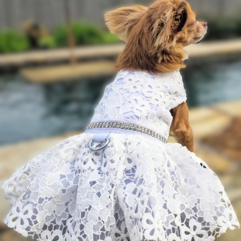 
                      
                        White Lace Dog Wedding Dress - Pooch Luxury
                      
                    
