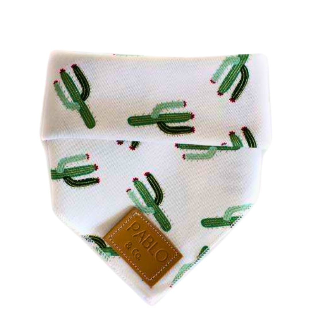 Ya Prick Dog Bandana - Pooch Luxury