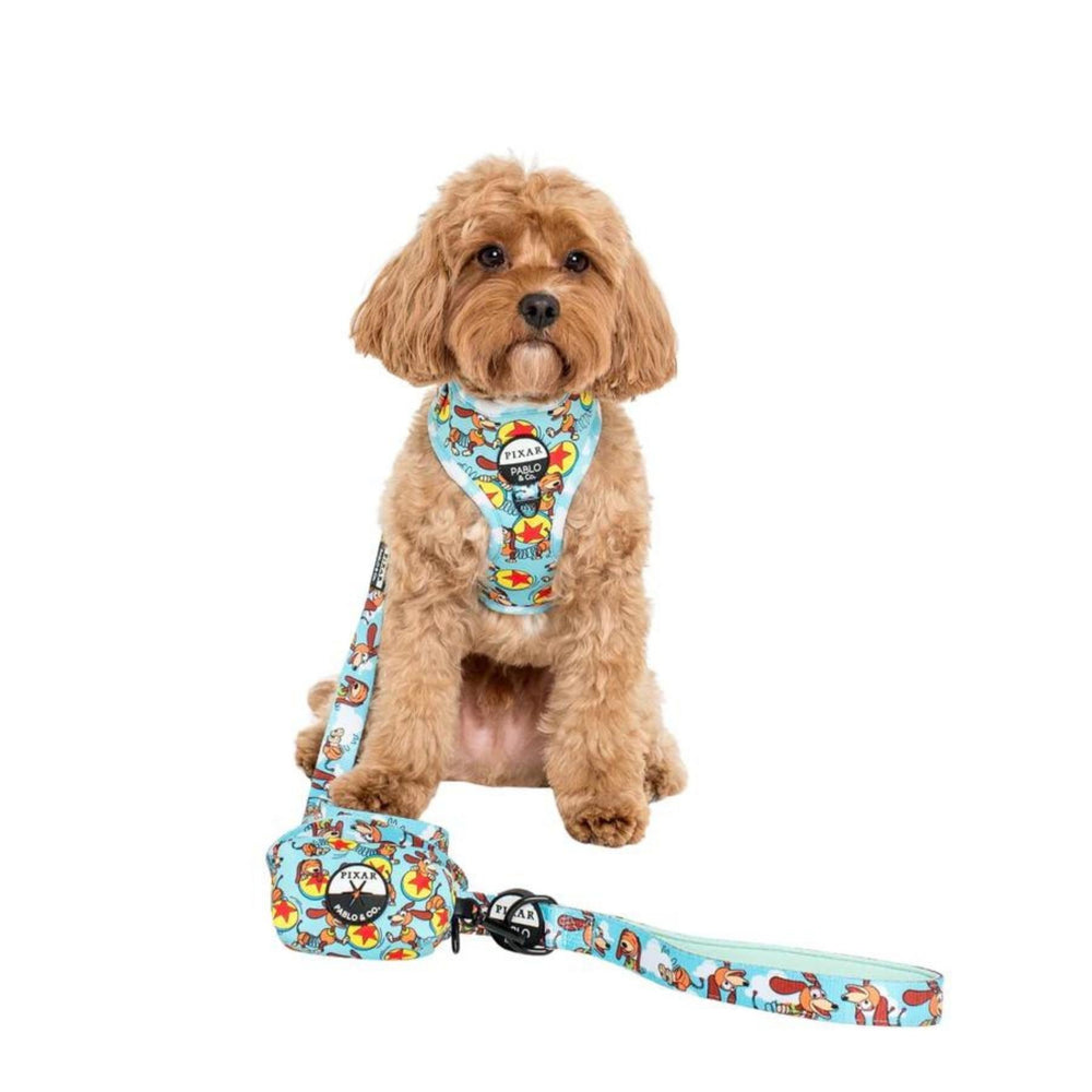 
                      
                        Toy Story - Slinky Dog Poop Bag Holder - Pooch Luxury
                      
                    