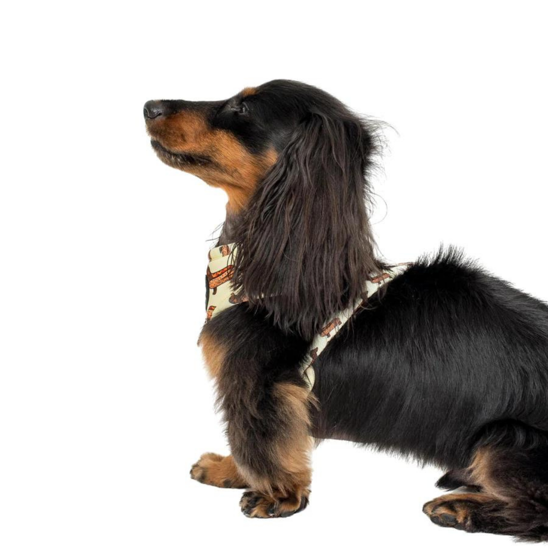 Wiener Dogs Adjustable Harness - Pooch Luxury