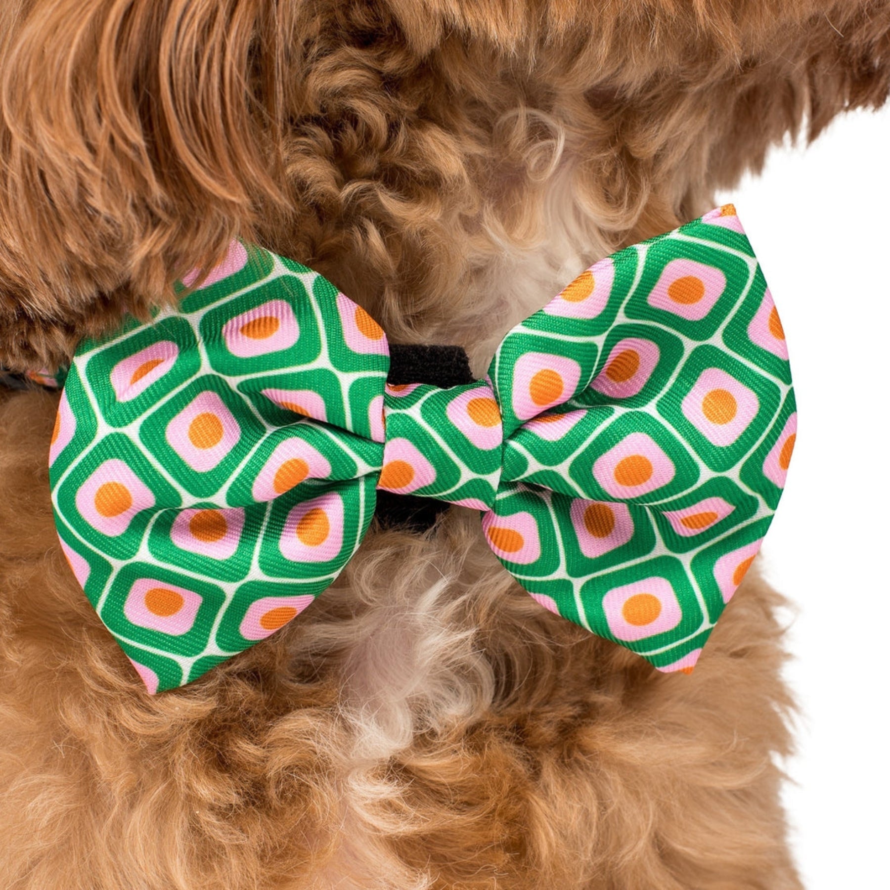 70's Style Bow Tie - Pooch Luxury