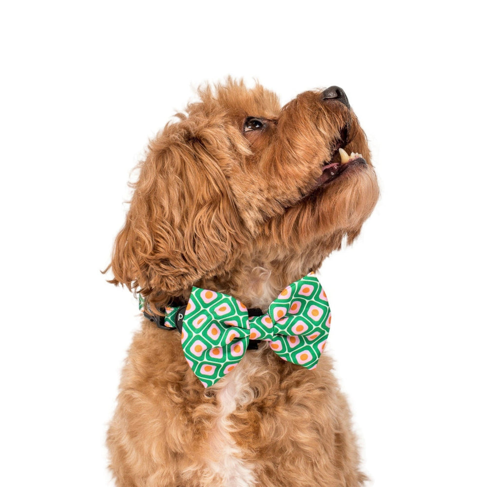 70's Style Bow Tie - Pooch Luxury