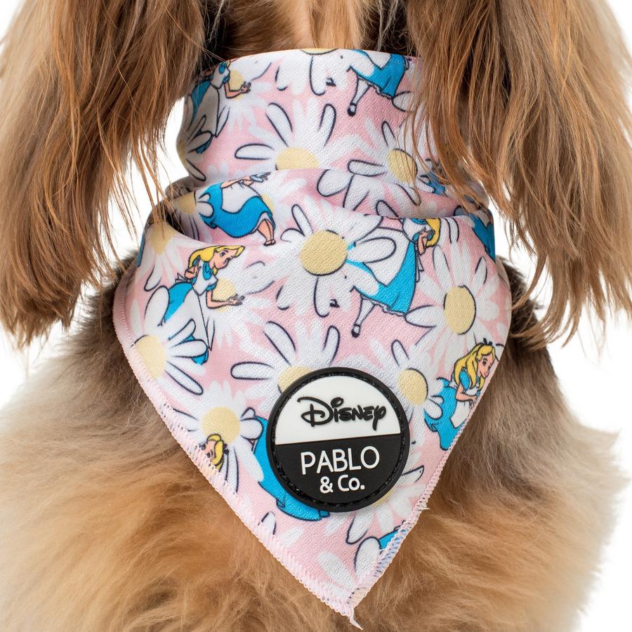 Alice In Wonderland Dog Bandana - Pooch Luxury