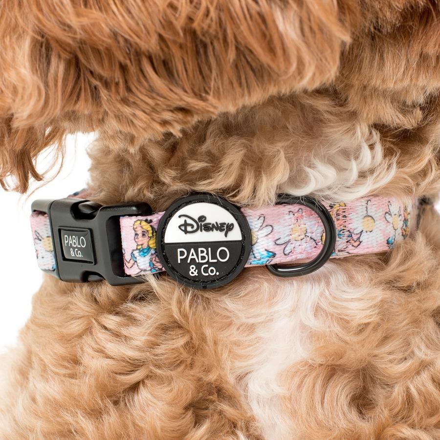 Alice In Wonderland Dog Collar - Pooch Luxury