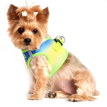 American River Choke Free Dog Harness - Cobalt Sport - Pooch Luxury