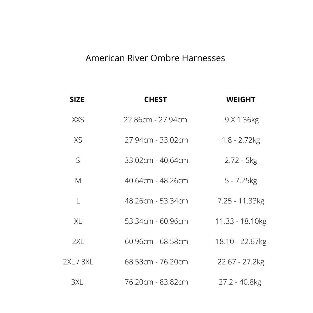 
                  
                    American River Choke Free Dog Harness - Cobalt Sport - Pooch Luxury
                  
                