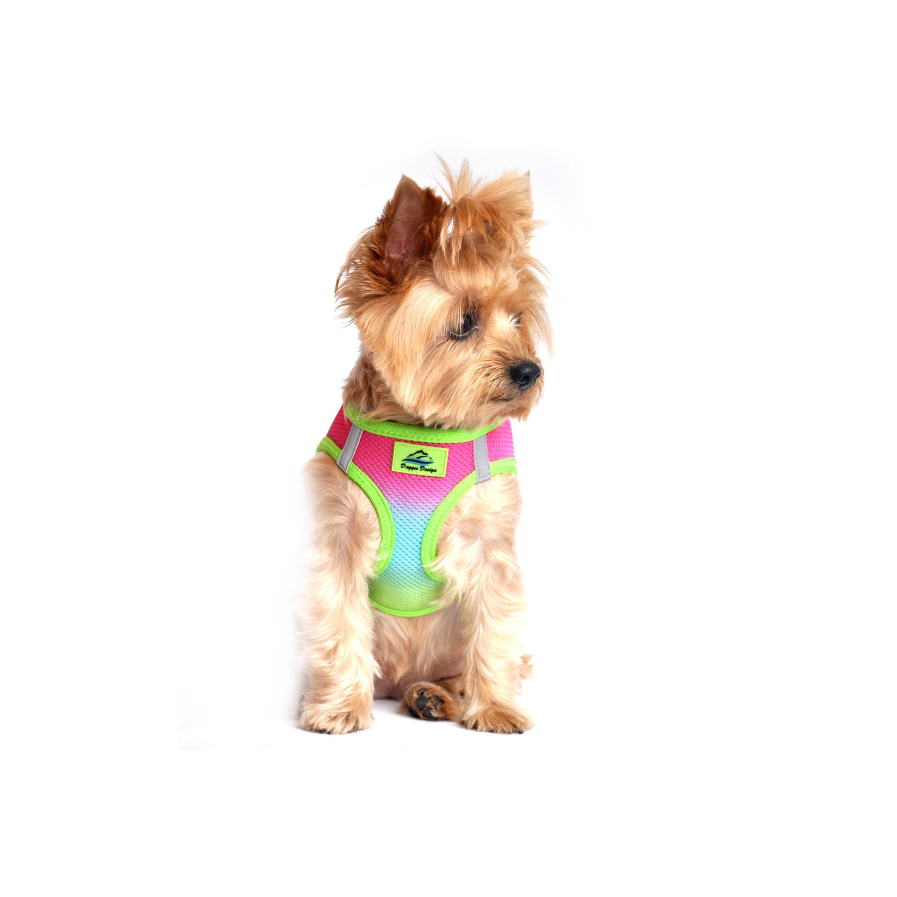 American River Choke Free Dog Harness Ombre Collection - Rainbow - Pooch Luxury