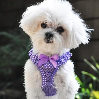American River Choke Free Dog Harness - Paisley Purple Polka Dot - Pooch Luxury