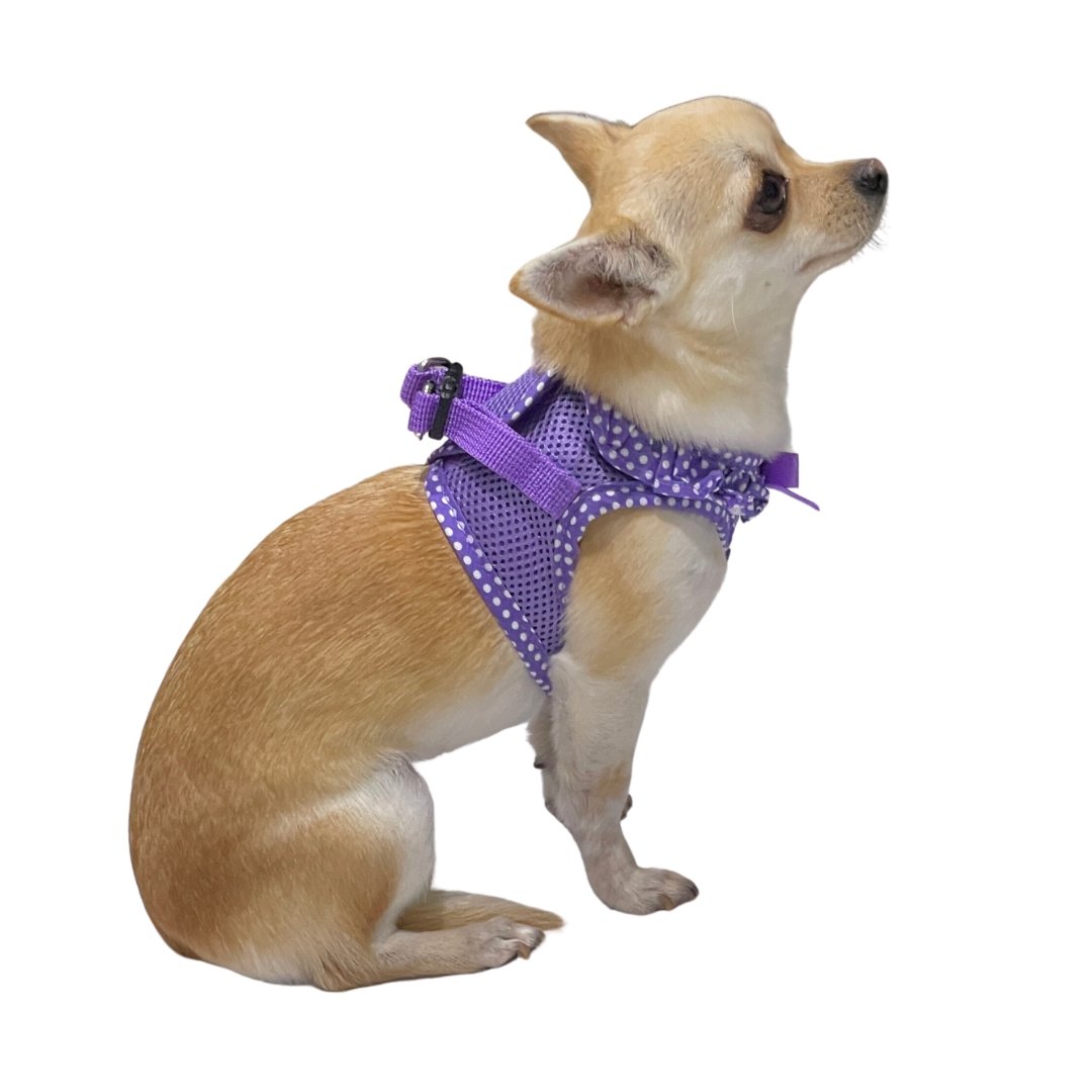 American River Choke Free Dog Harness Paisley Purple Polka Dot