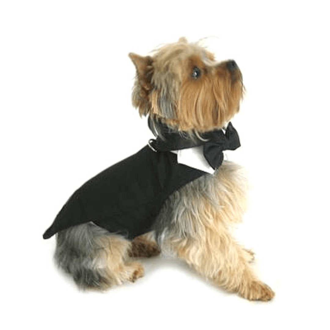 Black Dog Harness Tuxedo with Tails, Bow Tie & Cotton Collar - Pooch Luxury
