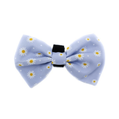 Blue Daisy Bow Tie - Pooch Luxury