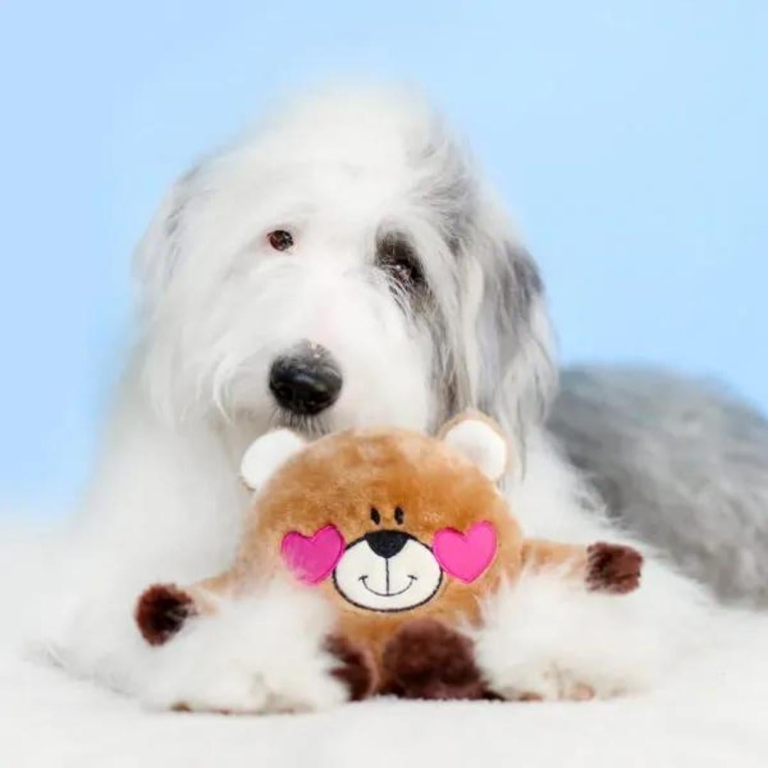 
                  
                    Brainey Squeaker Dog Toy - Bear In Love - Pooch Luxury
                  
                