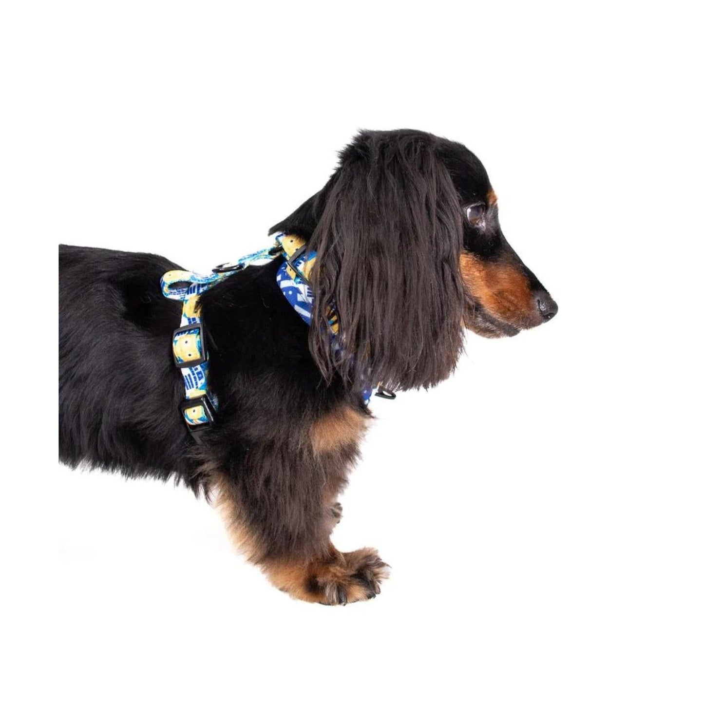 
                  
                    C-3PO and R2-D2 Adjustable Harness - Pooch Luxury
                  
                