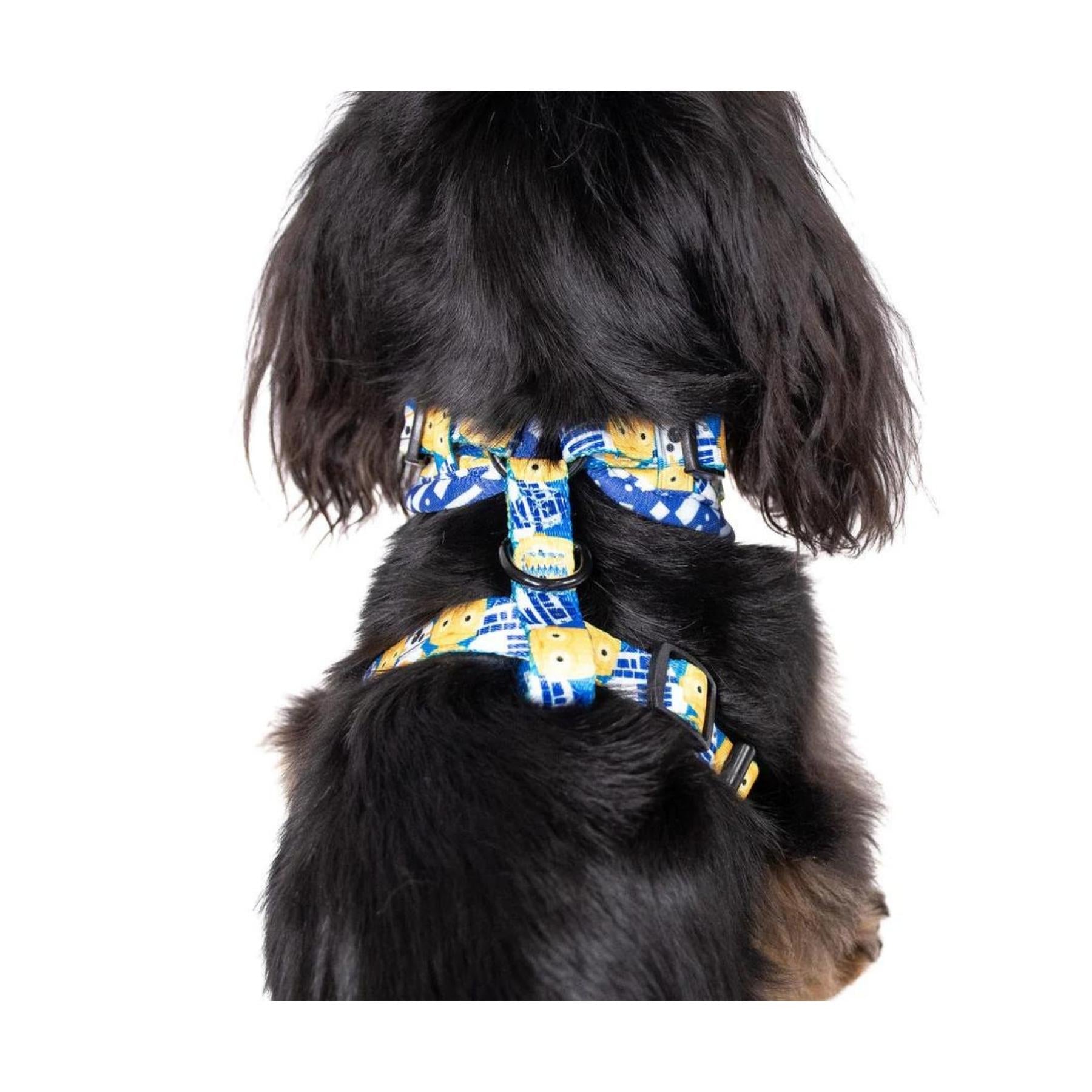 C-3PO and R2-D2 Adjustable Harness - Pooch Luxury