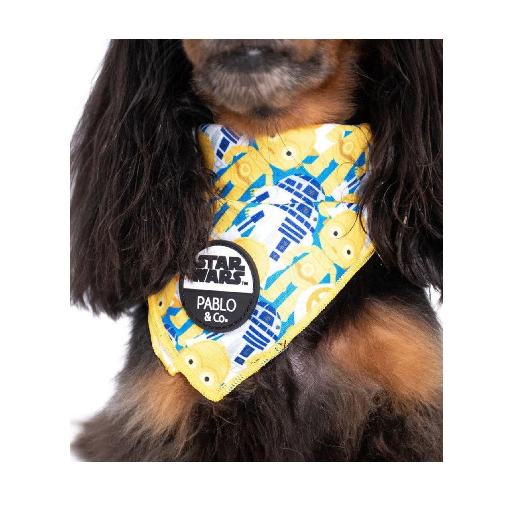 Star wars hot sale dog bandana