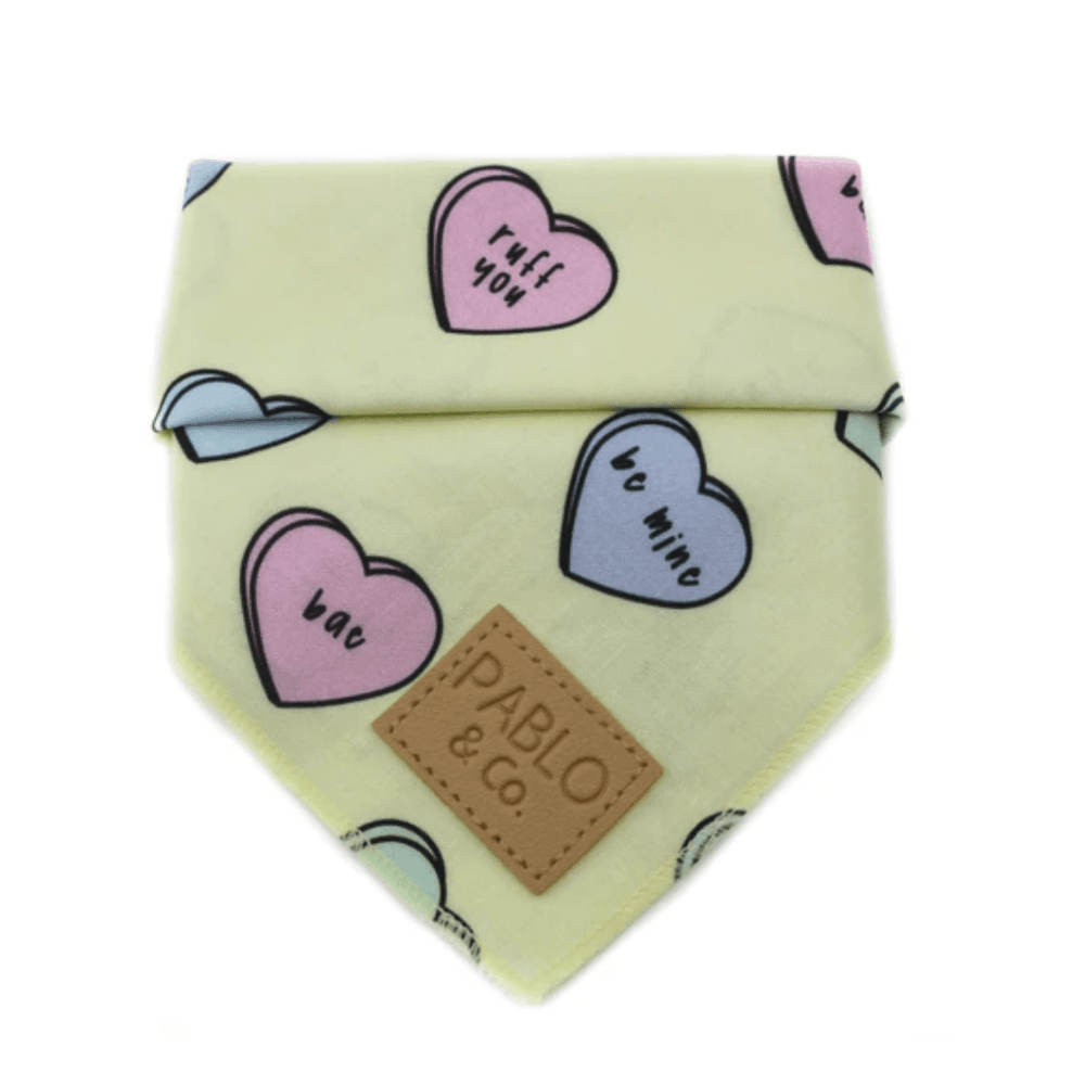 Candy Hearts Bandana - Pooch Luxury