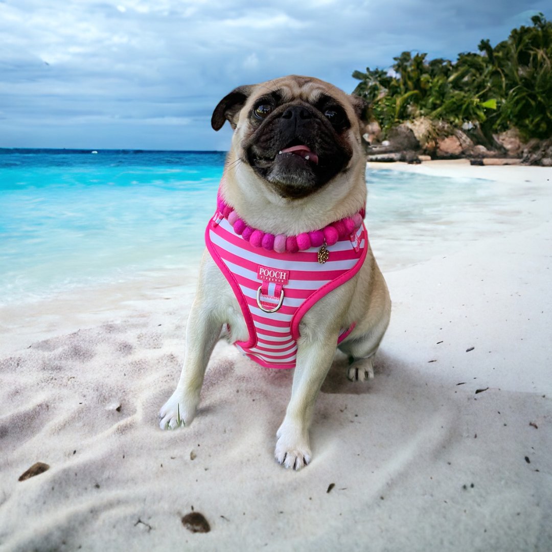 Carnival Stripe - Pink Adjustable Harness - Pooch Luxury