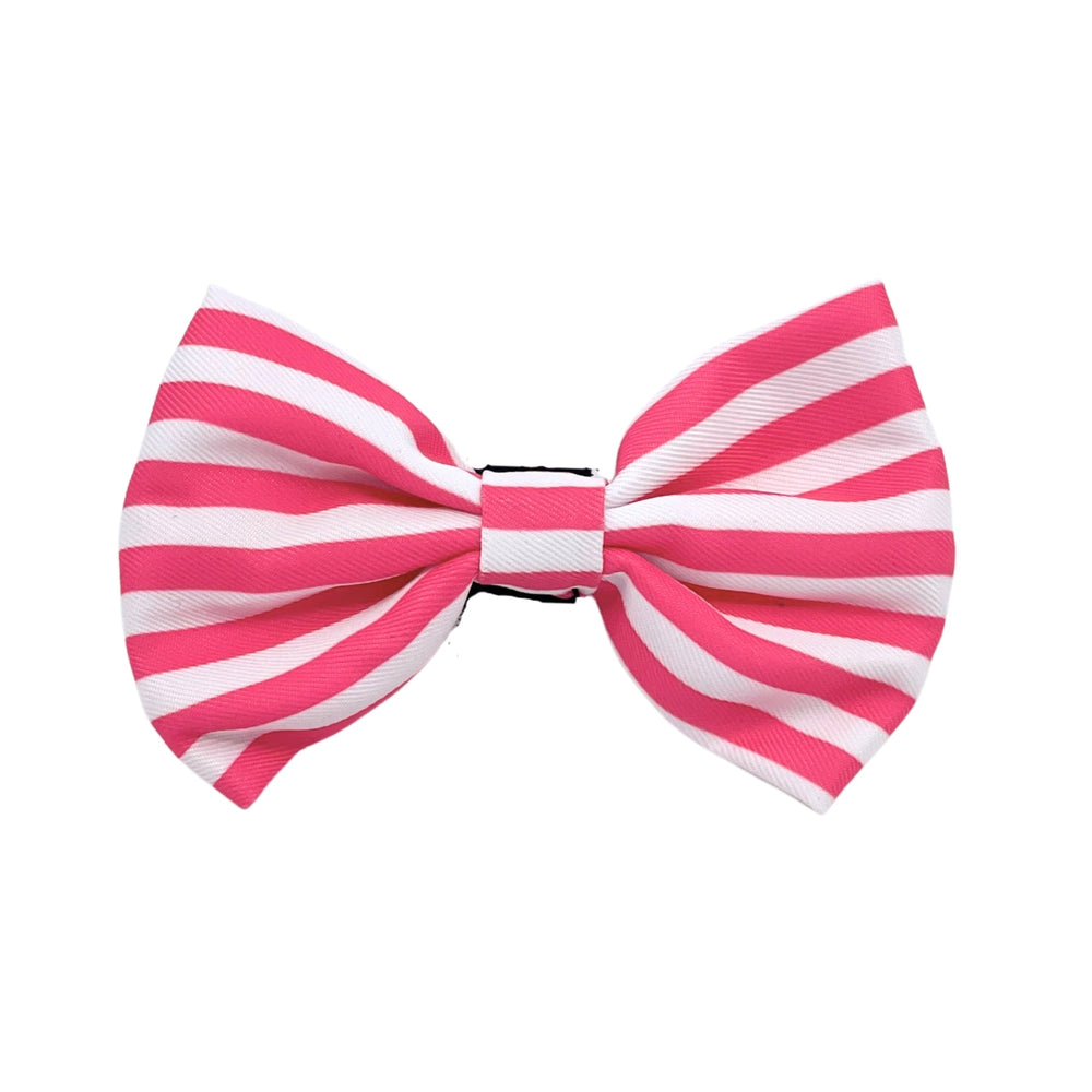 Carnival Stripe - Pink Bow Tie - Pooch Luxury