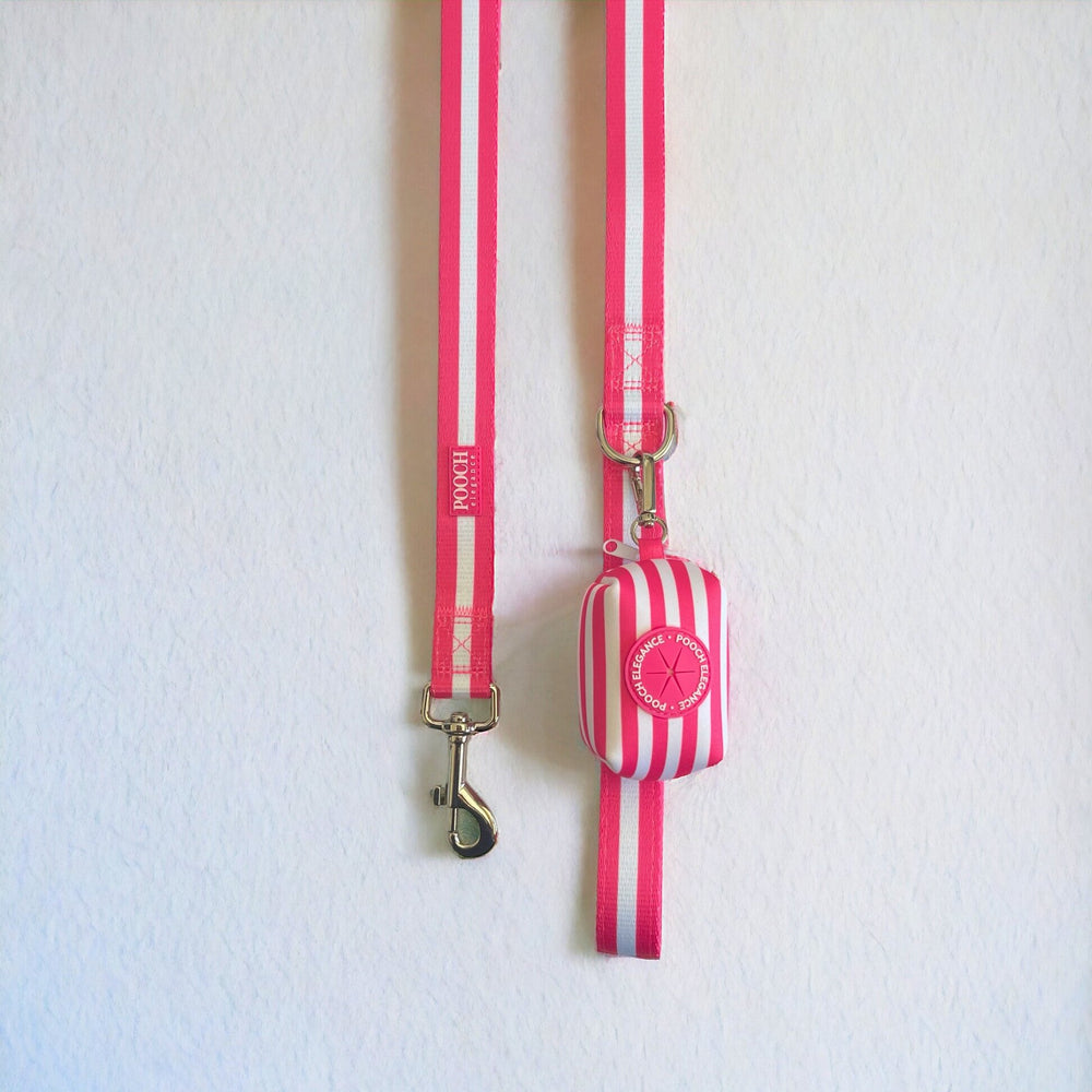 Carnival Stripe - Pink Dog Leash - Pooch Luxury