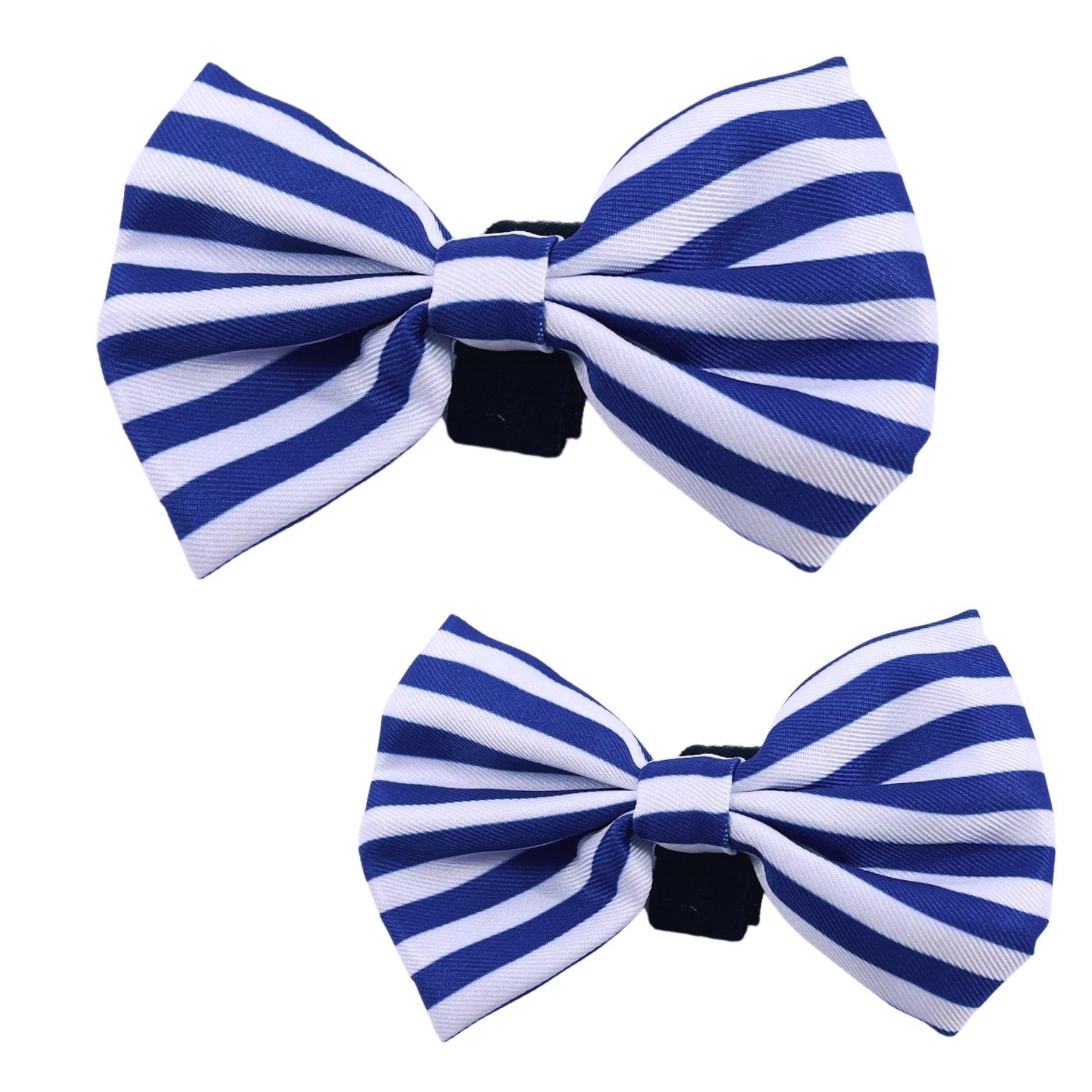 Carnival Stripe - Royal Blue Bow Tie - Pooch Luxury