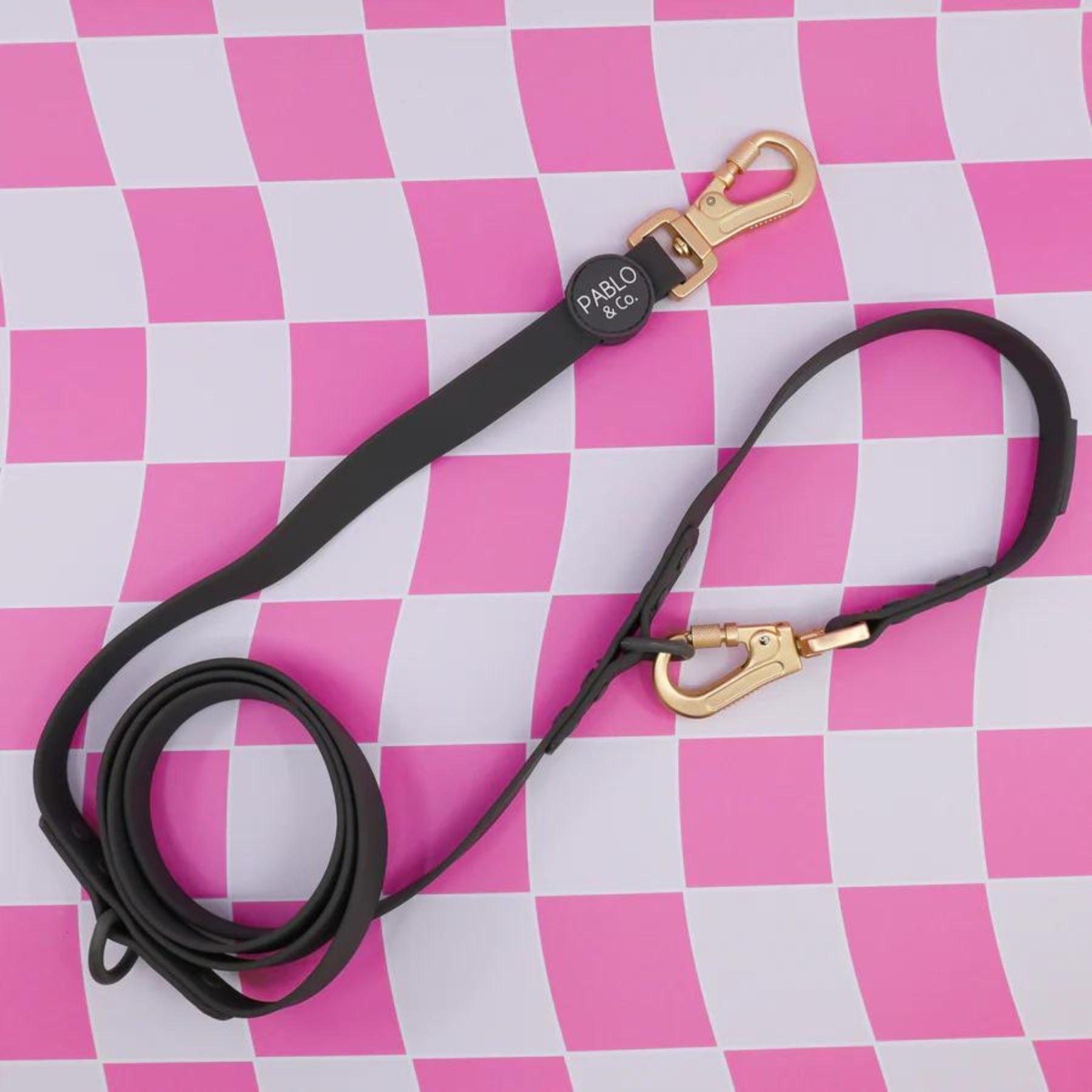 Charcoal MultiFunctional Waterproof Leash Pooch Luxury