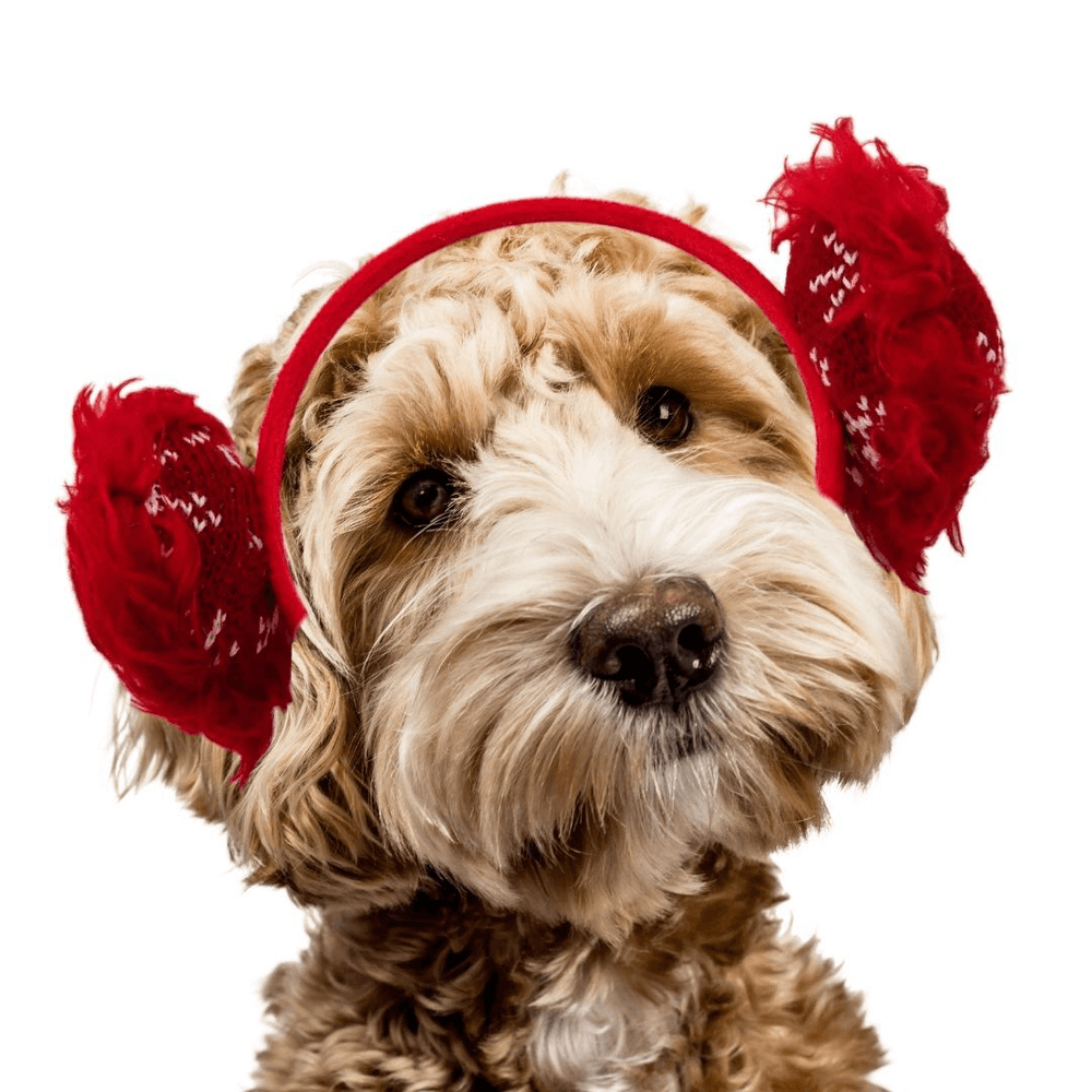 Christmas Earmuffs Headband - Pooch Luxury