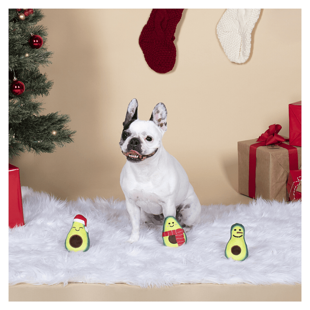 
                      
                        Christmas Minis Holiday Avocados 3 - Piece Plush Dog Toys Set - Pooch Luxury
                      
                    